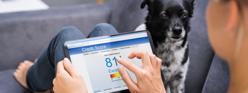 An image of a woman on a sofa with a black dog checking her credit score on a tablet