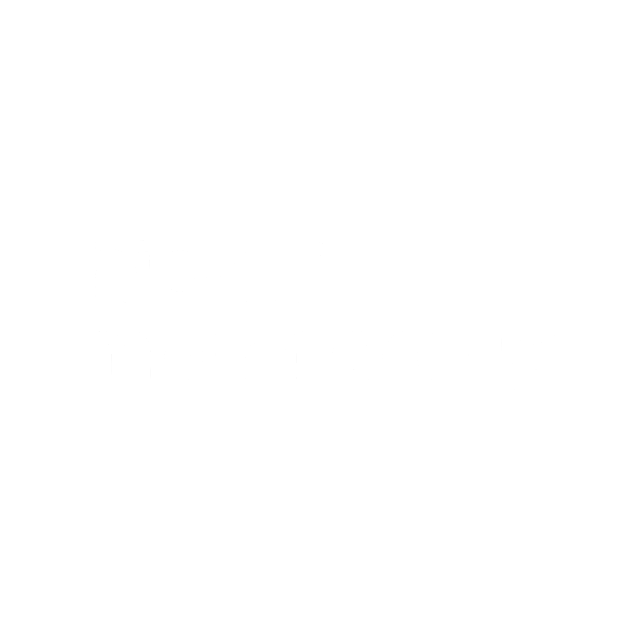 The logo of Hippo Motor Group.