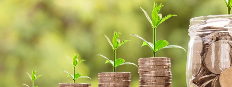 Stacks of coins growing in size from left to right with plants growing out of them, finished with a large pot of coins at the end, representing growing funds.