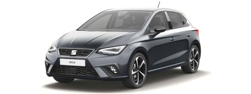 Dark grey Seat Ibiza on a plain white background, depicted in a studio setting.